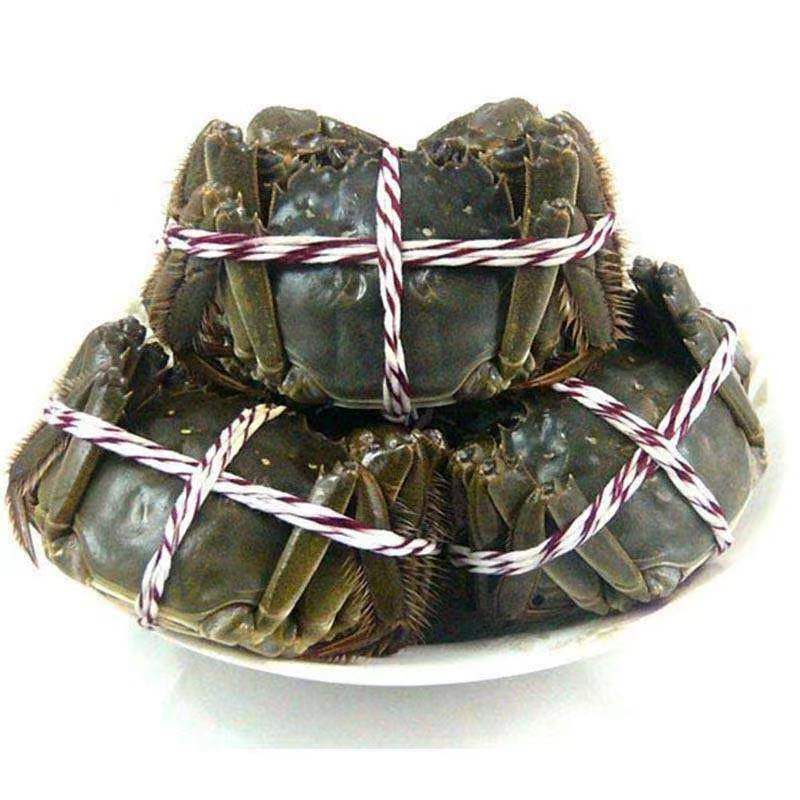 5元一只大闸蟹公蟹1.2-1.7两左右