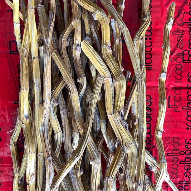 【彭彭现收山货】大-金-条-500g-1000g滋补营造品