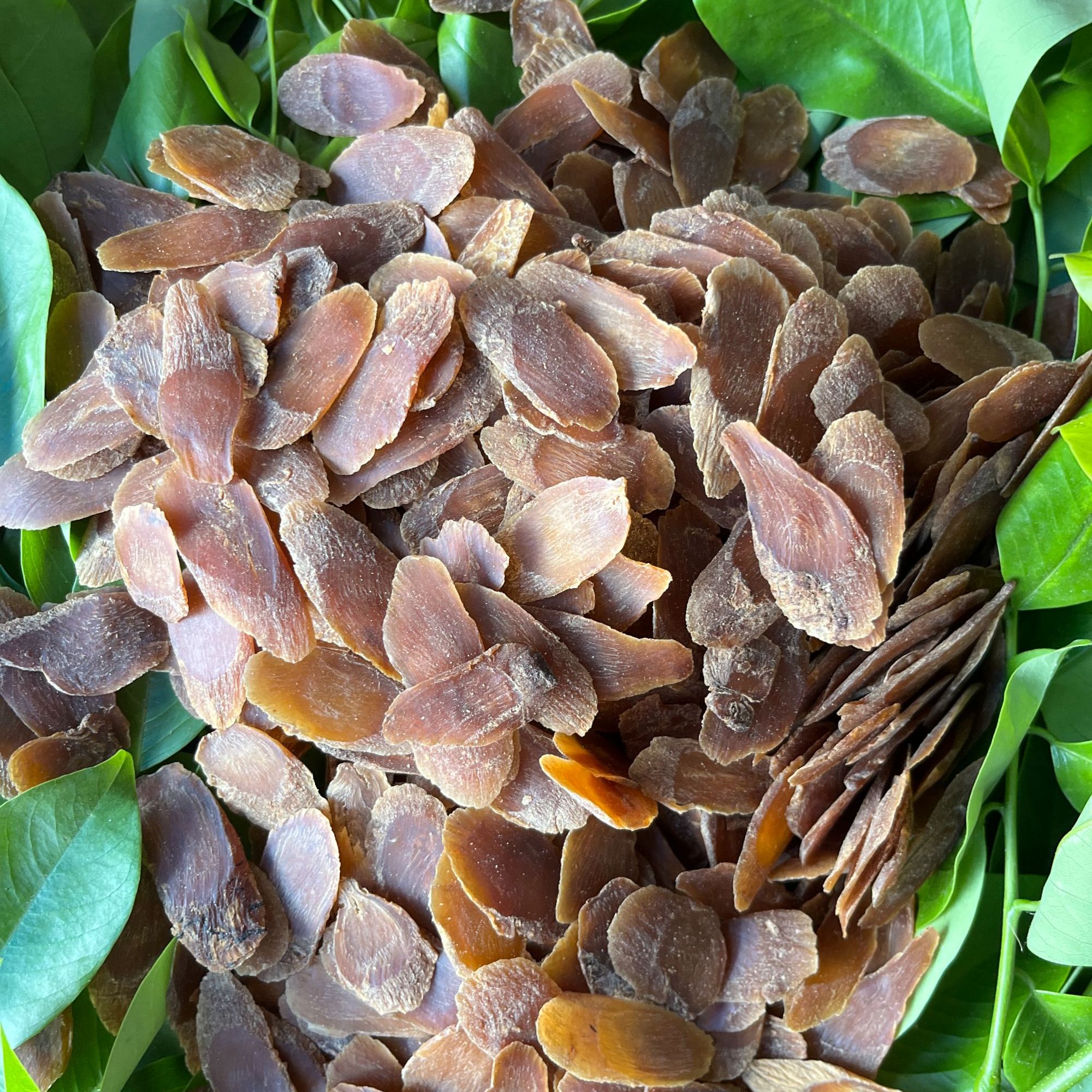 【彭彭先収山货】缅-山-渗-片250g-1000g滋补营养品