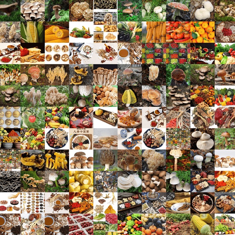 【彭彭先収山货】2号-滋补营养品