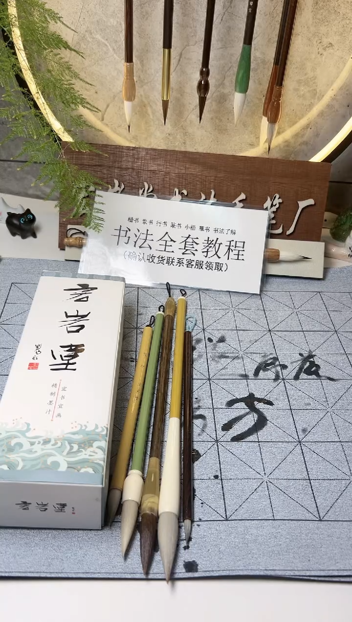 【闪购商品】H992号毛笔5支+1斤墨+课程