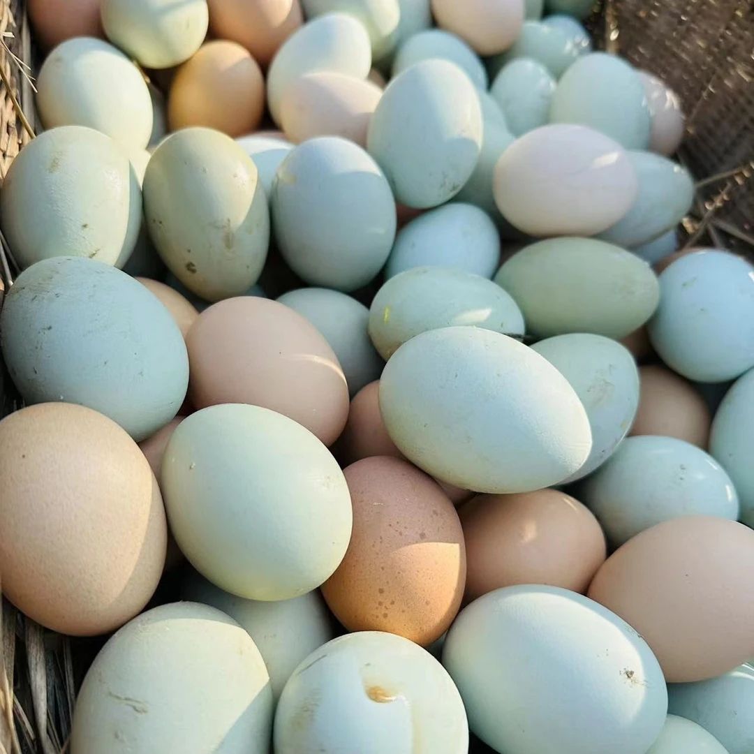 【兰兰专属】30枚农家原生态新鲜土鸡蛋 山林散养鸡慢产 土鸡蛋    