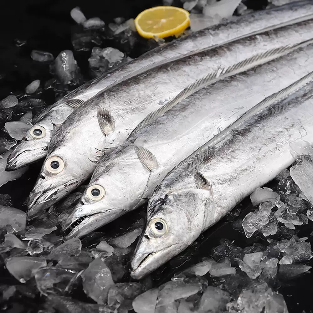 海捕冰鲜带鱼（0.8-1斤/条）带鱼同城送