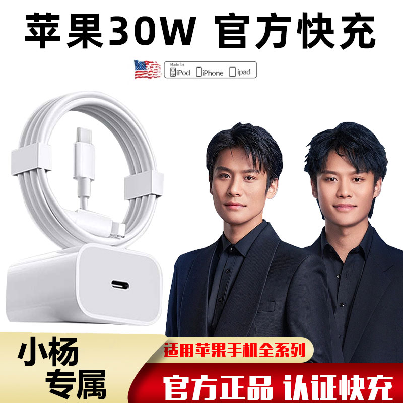 30W正品适用苹果充电PD头数据线快充14/13官方平板器手机原装通用