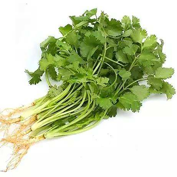 【宜宾同城配送】【万家福超市】香菜150g