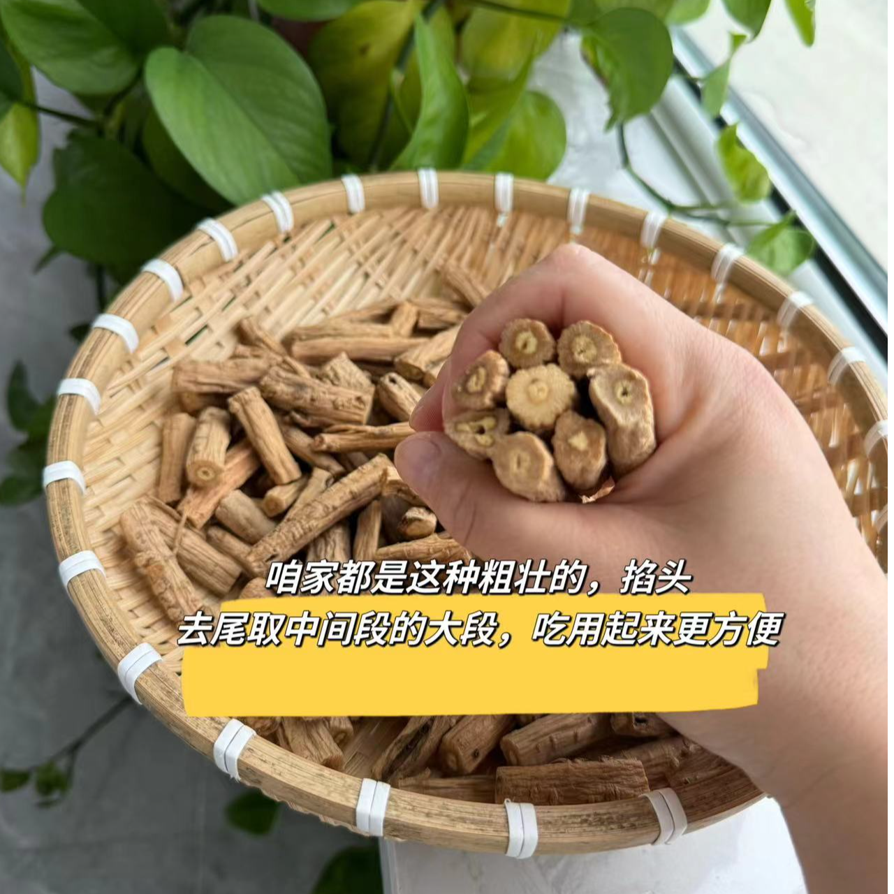 长白山 精选道地药材   老-s党 s 段s-  参甜味浓  老参段