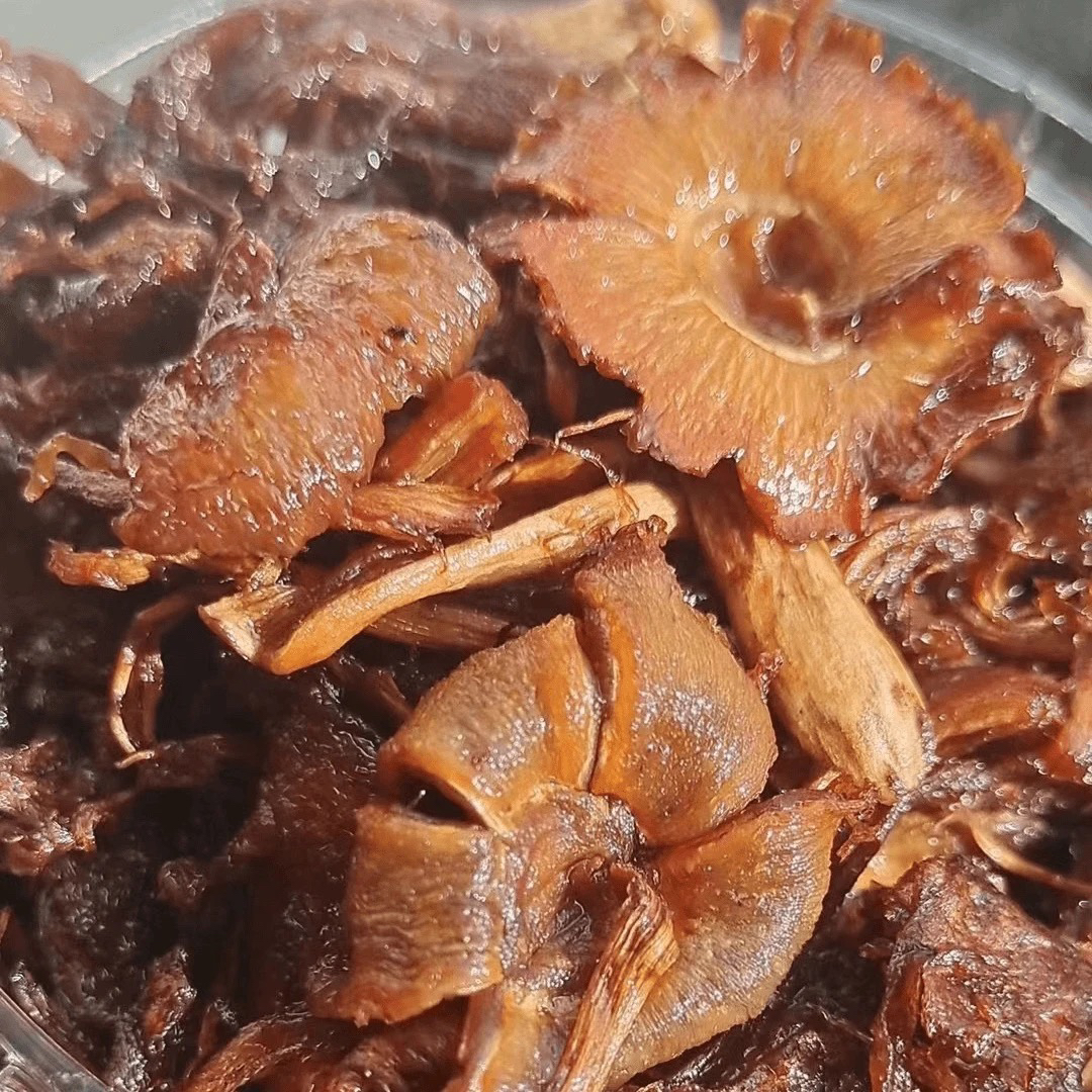 巴两两云南野生菌油鸡棕品质保证下饭拌面都好吃