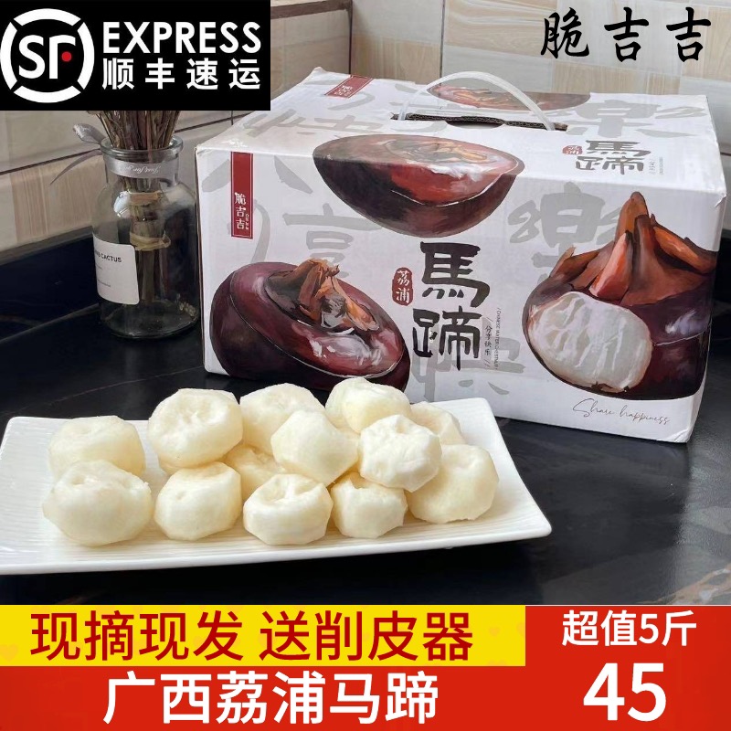 脆吉吉荔浦马蹄5斤装中大果广西特产正宗新鲜马蹄荸荠 送削皮刀