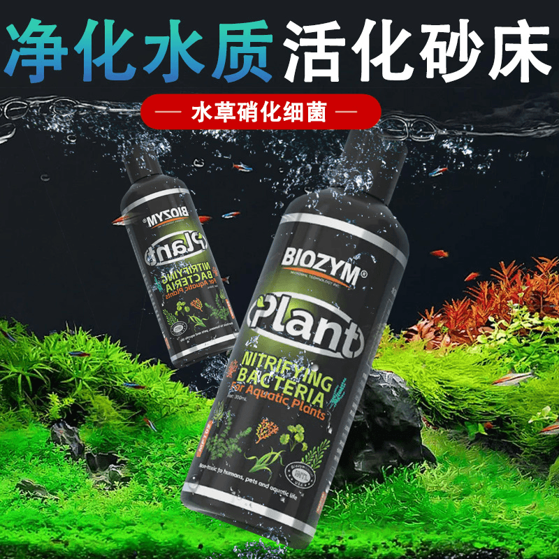 鱼缸水族箱水草硝化菌有益菌安全快速净水降氨氮去腥臭不伤鱼