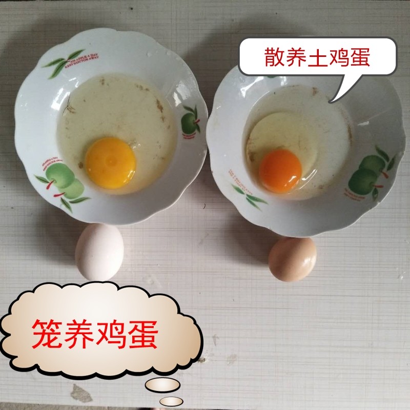 正宗农村家野外散养放养土鸡蛋 新鲜草鸡蛋柴笨富硒月子鸡蛋50枚