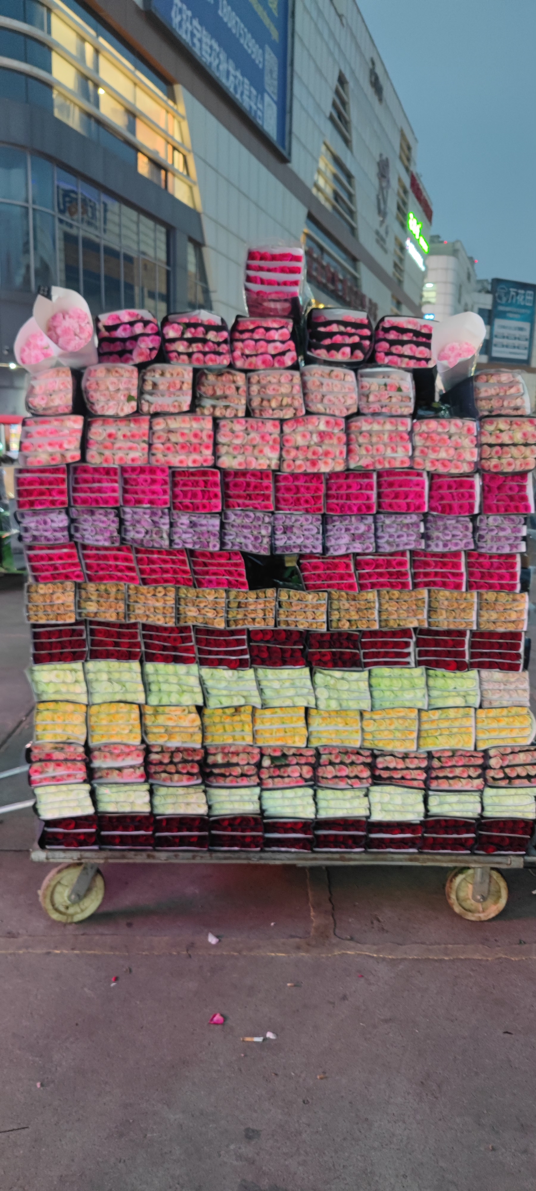 大件小件玫瑰单头多头草花混发联系客服