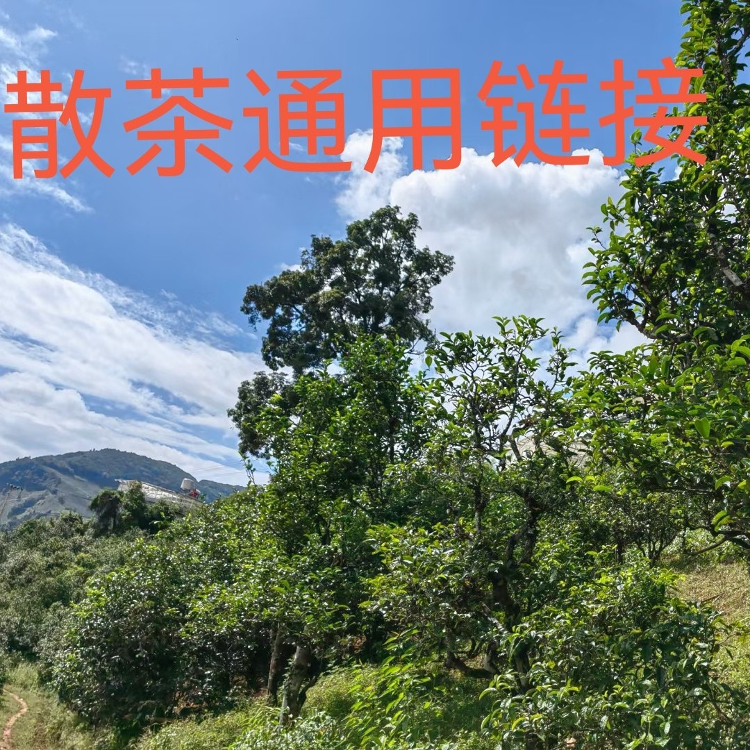 2025年 单株（过渡型） 福利（250克）散茶