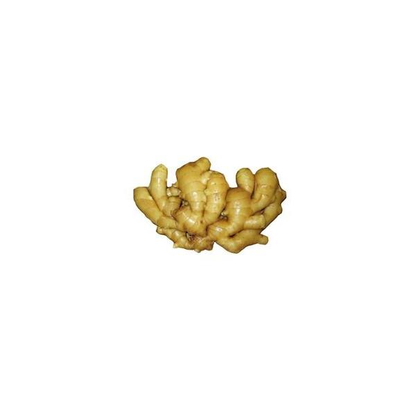 【姜】500g±（协佳鲜）