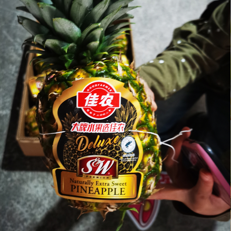 【黑钻凤梨】佳农凤梨特大果1个约1.7kg