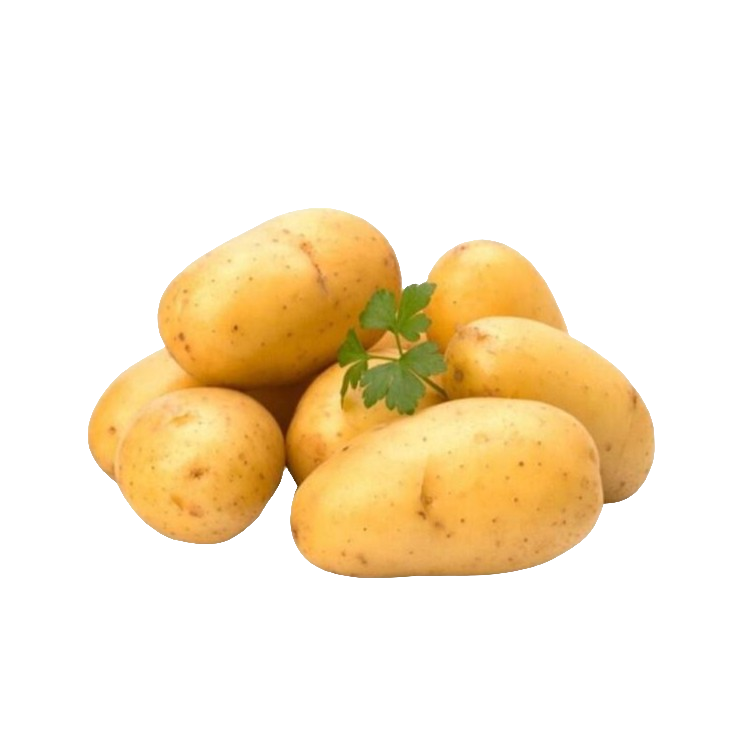 【土豆1kg±】黄皮黄心土豆 大号（瑶睿）