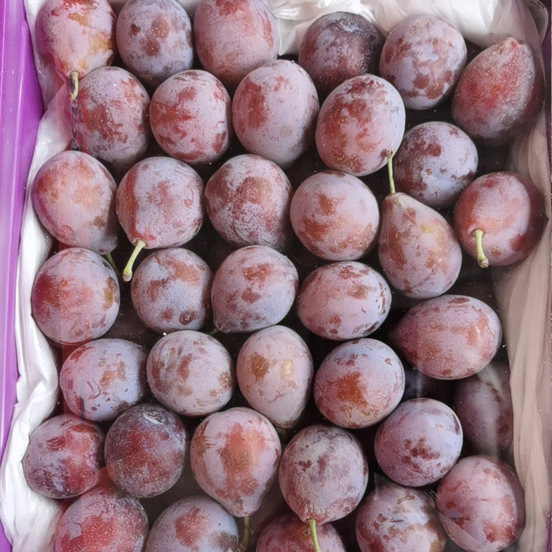 【新疆西梅】整框约2kg