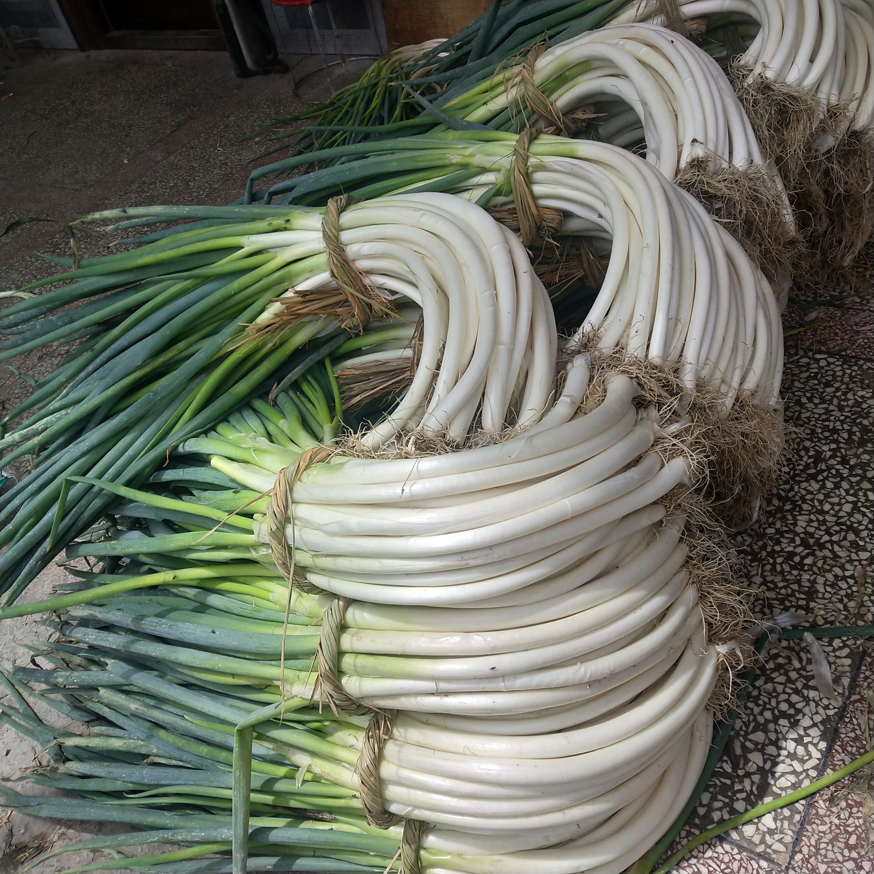 【大弯葱】细250g±（协佳鲜）