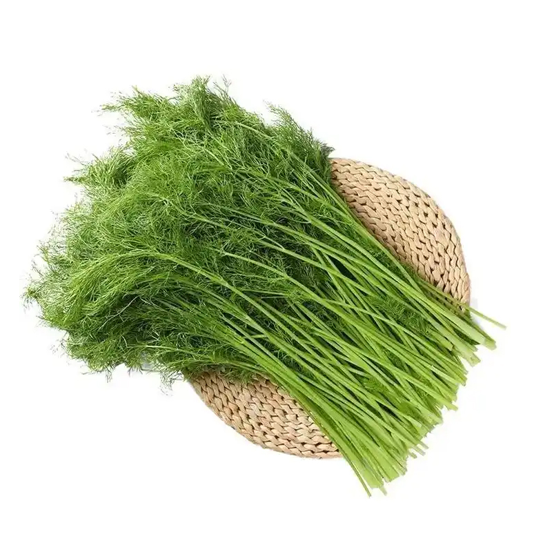 【小茴香】小茴香500g±（萱骏）