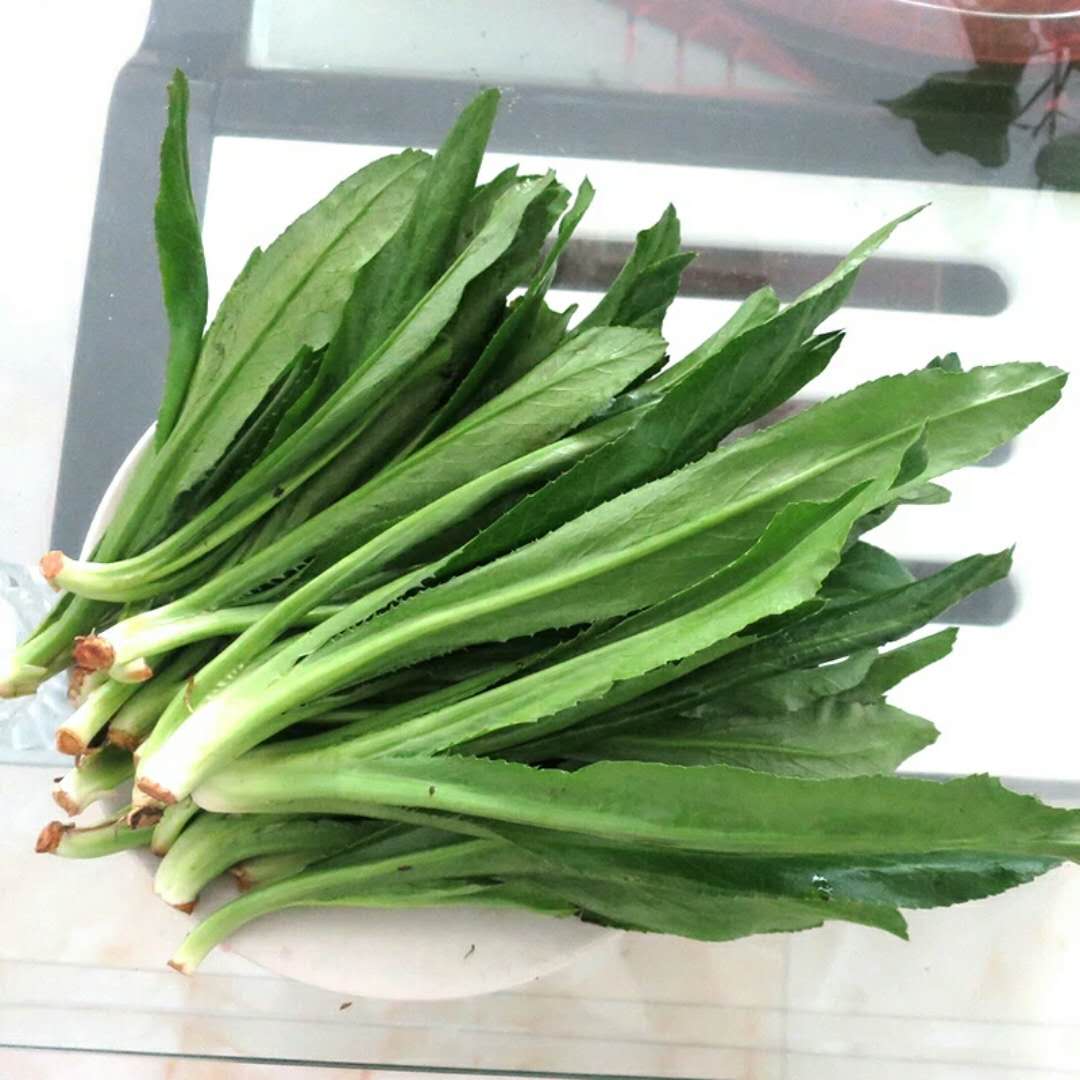 【大香菜】100g±（菜山爷）