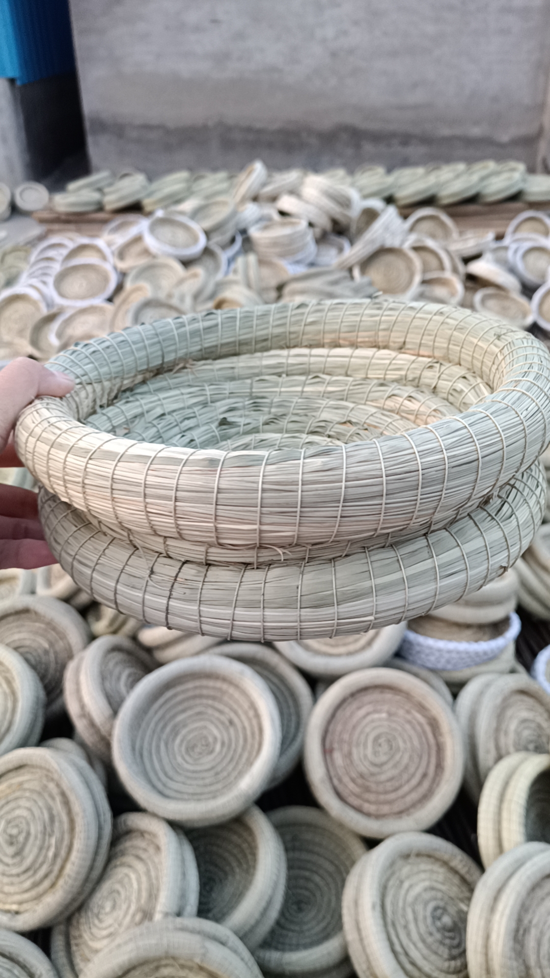 鸽子下蛋专用草窝