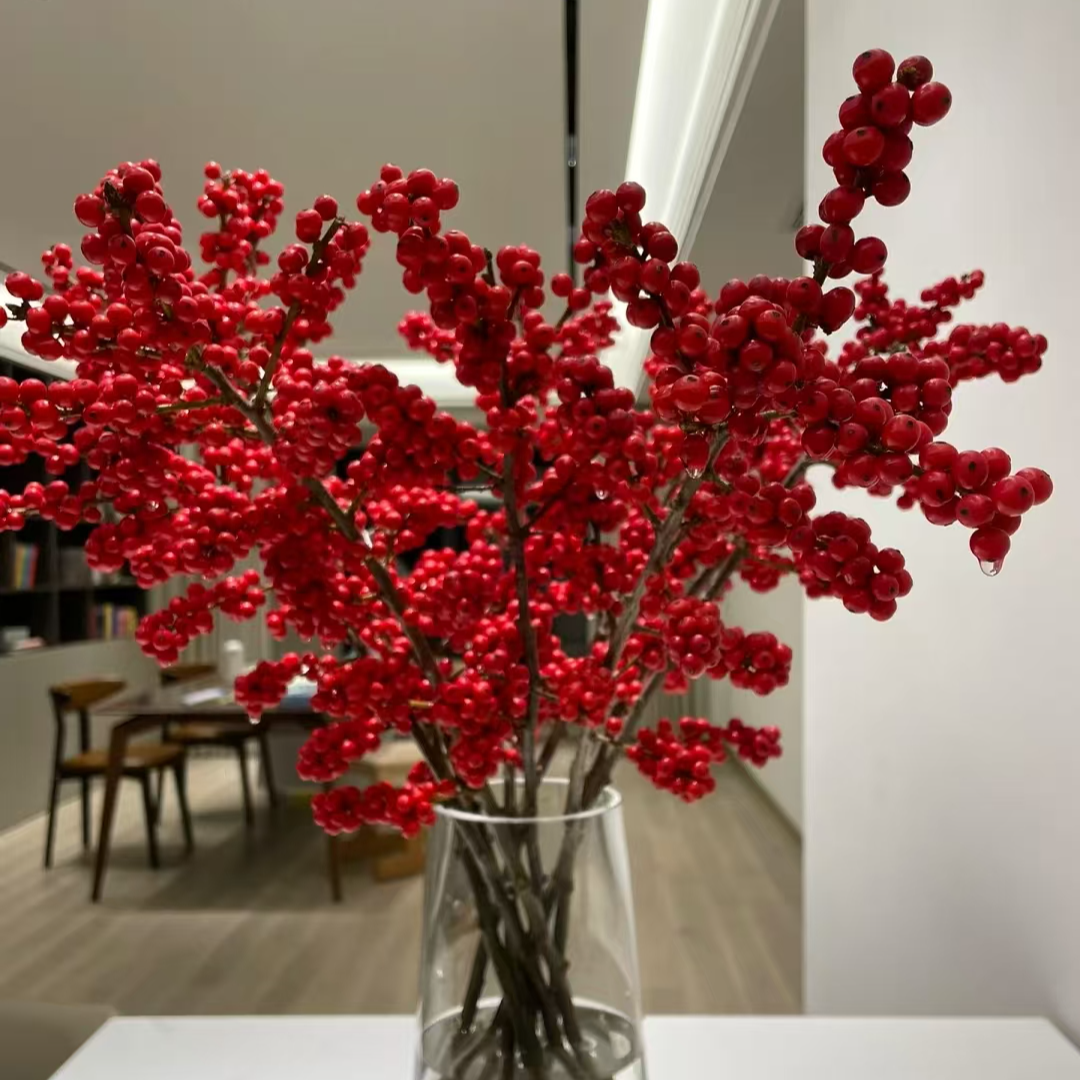 中国红北美冬青高品质居家办公室新鲜切枝花期长