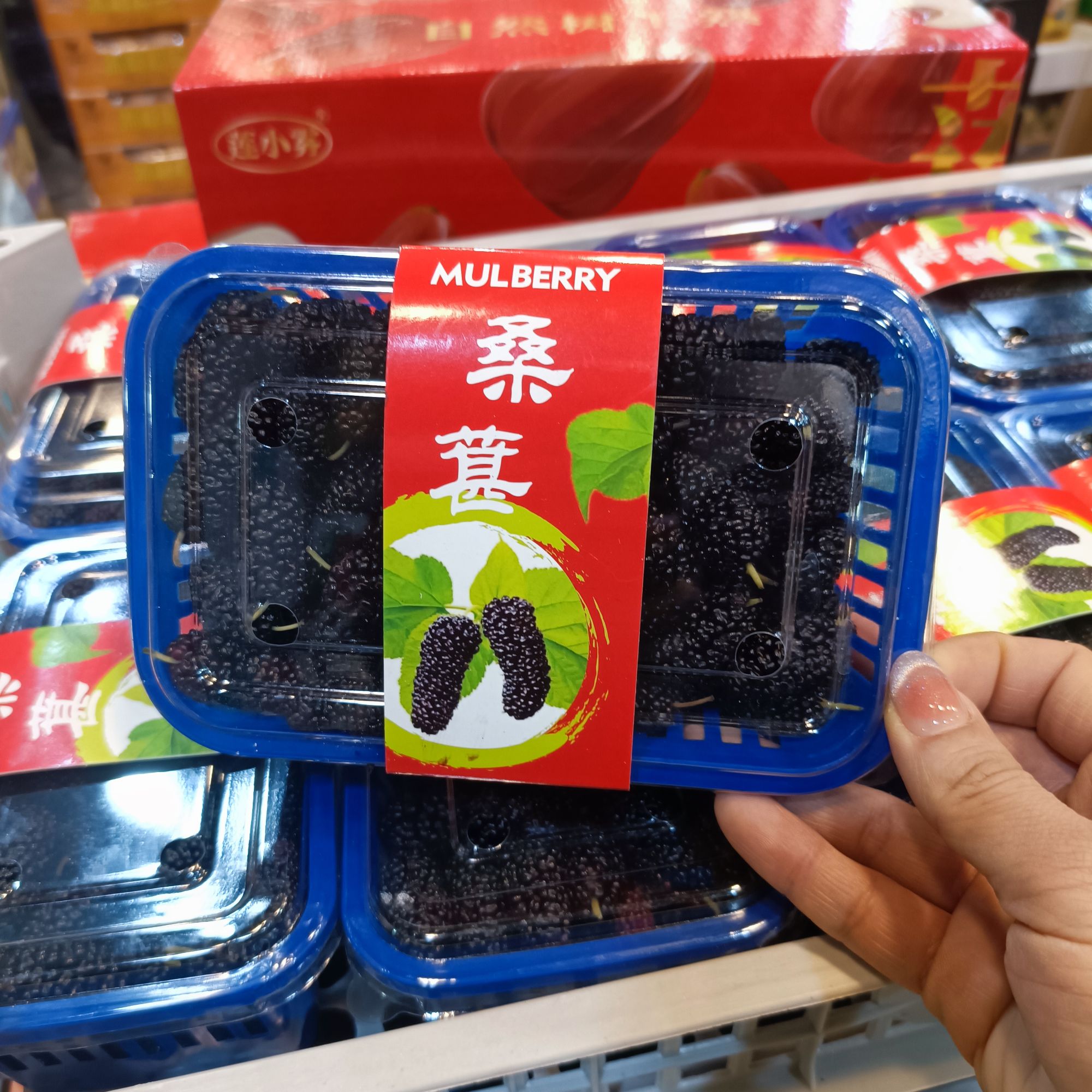【新如意枝】 桑葚一盒300g