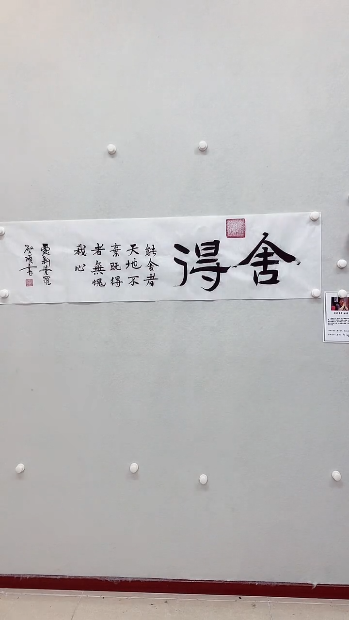 【闪购商品】书法书法