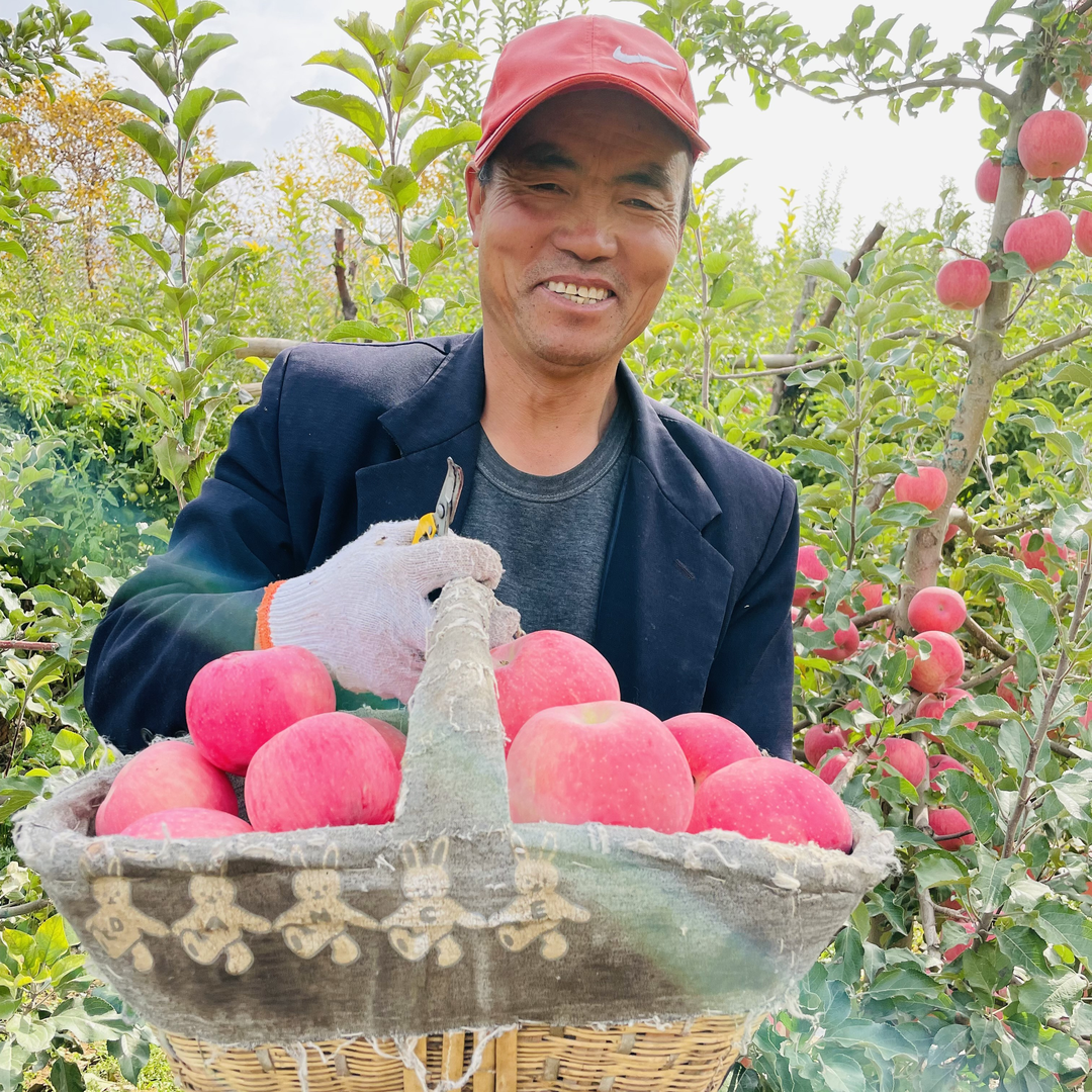 【不套袋苹果】牧羊人朱可铭自产自销红富士苹果大果18枚10斤