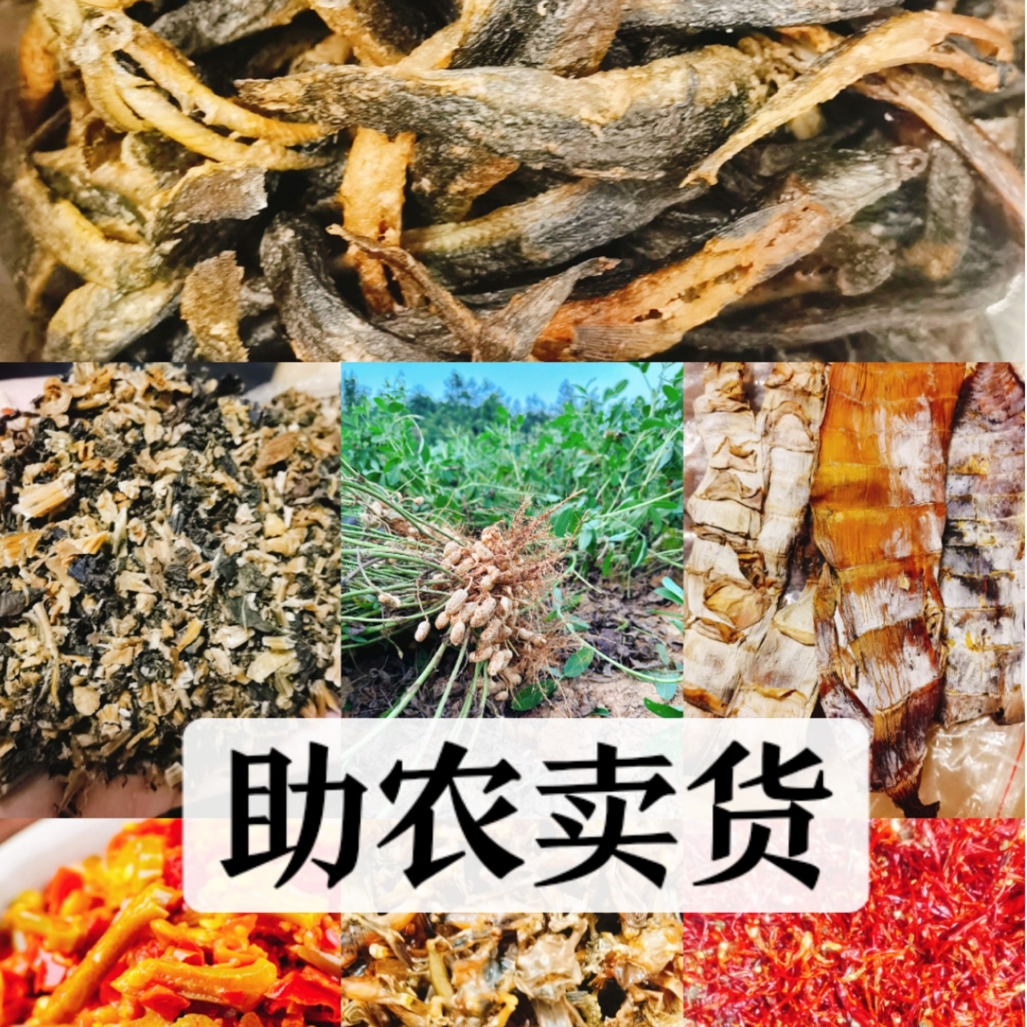 湖南新化本地农户散收农家散装现称土特产