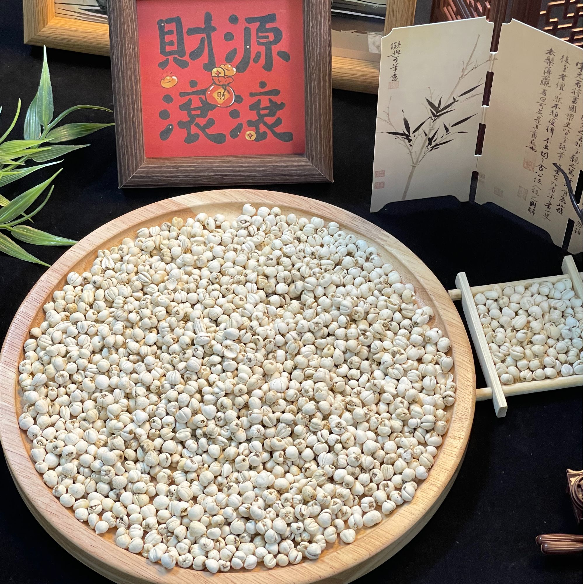 野山川贝 鸡心贝 松贝可煲汤可煮水