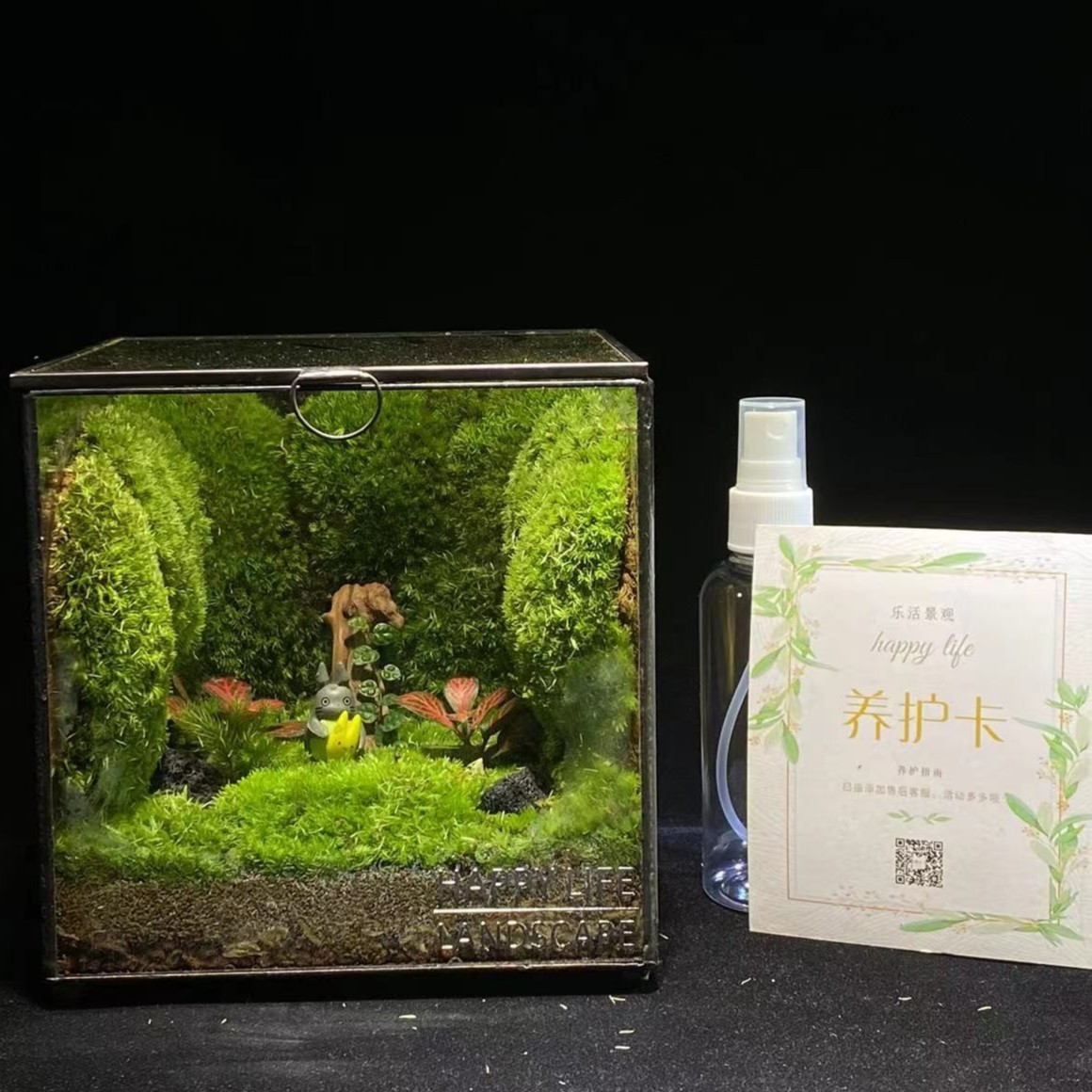 乐活潮植【活动幻想盒子】神奇的苔藓植物组合场景养护简单赠送喷壶