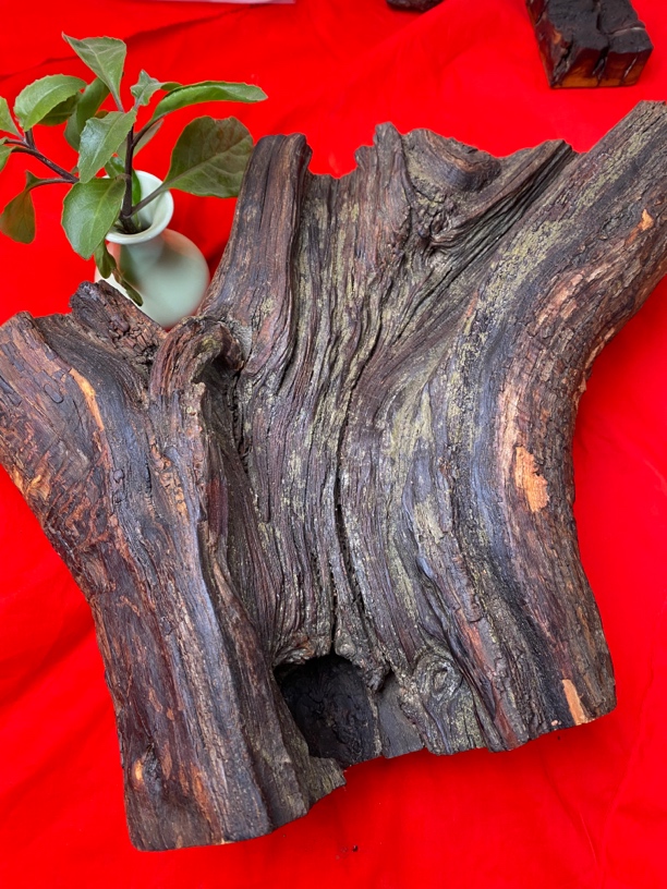 一号链接，雷击枣木6-80一物一拍