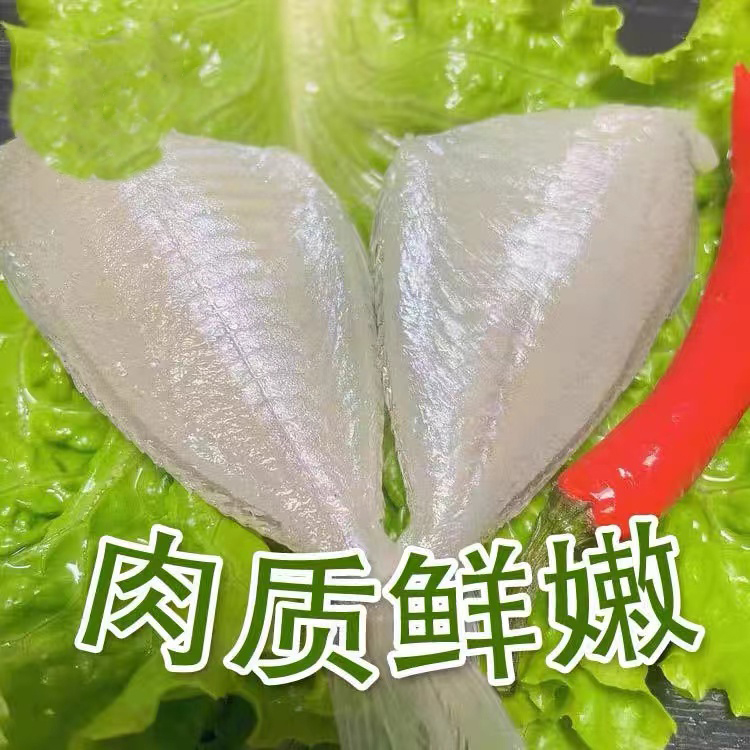 二哥海鲜 广东湛江海鲜 新鲜深海鱼新鲜马面鱼 到手8斤顺丰包邮