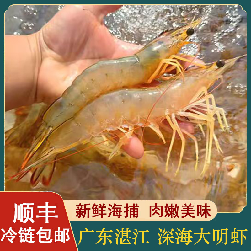 二哥海鲜 广东湛江 北部湾 海捕天然大明虾 到手4斤 顺丰包邮b