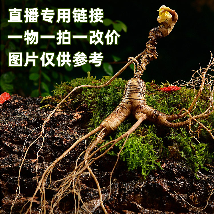 8小参娘】（参酿）链接一单一拍