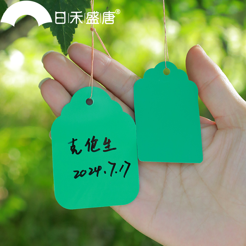 多种规格多种颜色塑料大号吊牌园艺标签园艺标识牌指示牌标注牌