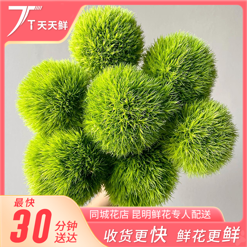 【一小时到家・绿毛球 一把】天天鲜花同城小时达配送