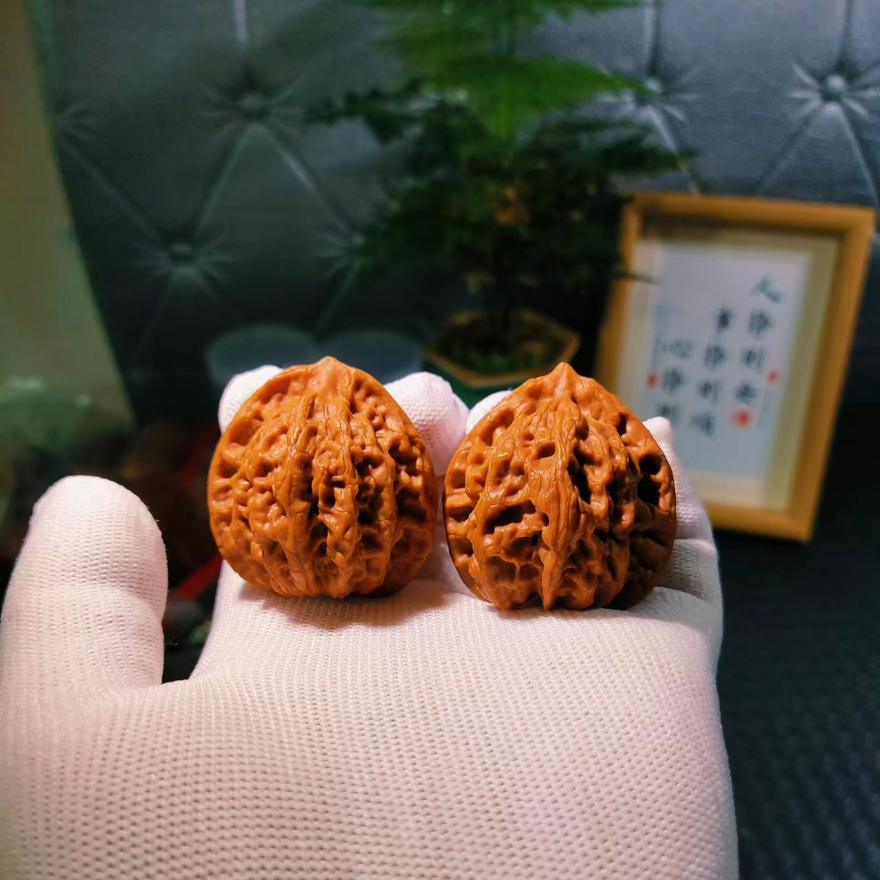 文玩核桃链接（直播间拍有效）