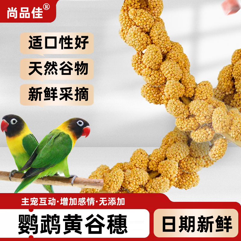 尚品佳当季新鲜谷穗小太阳和尚玄凤牡丹通用优质天然粮