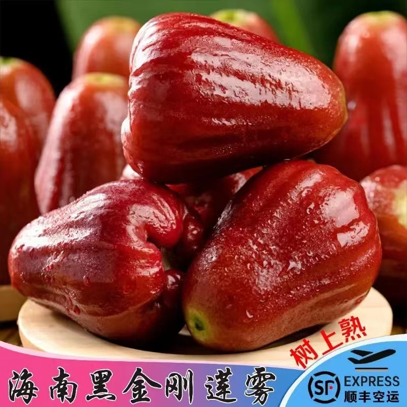 海南三亚黑金刚莲雾当季新鲜孕妇水果脆爽爽口多汁莲雾果香甜饱满