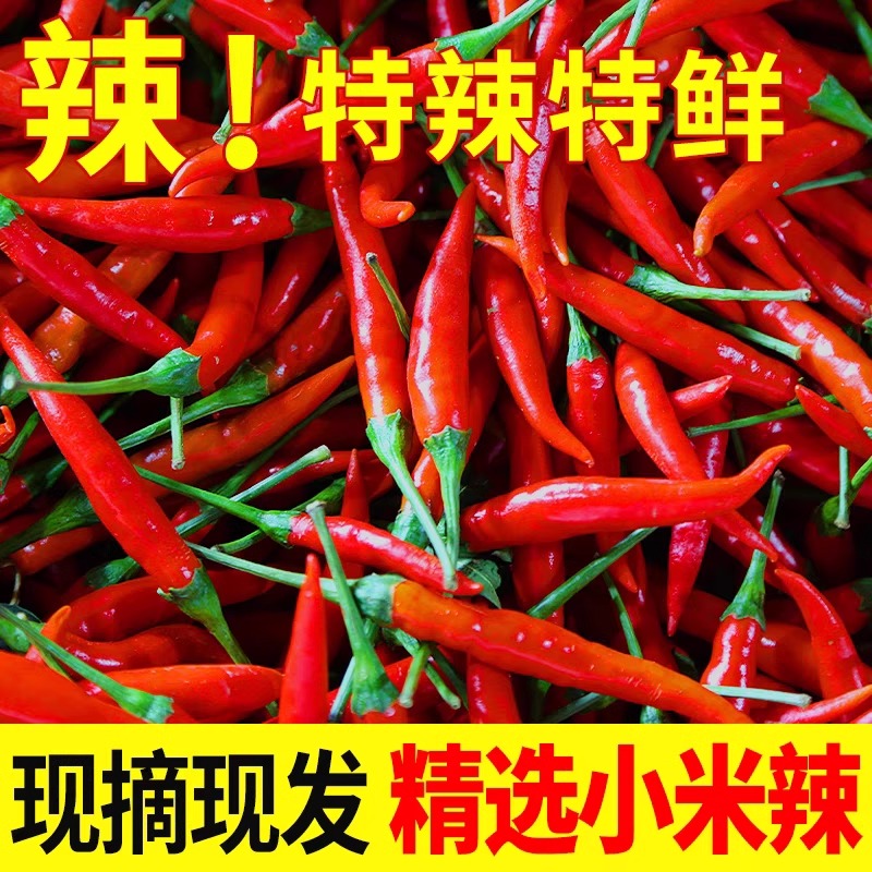 小米辣椒新鲜现摘现发1斤小米椒朝天椒特辣超辣薄皮红辣椒5指天椒