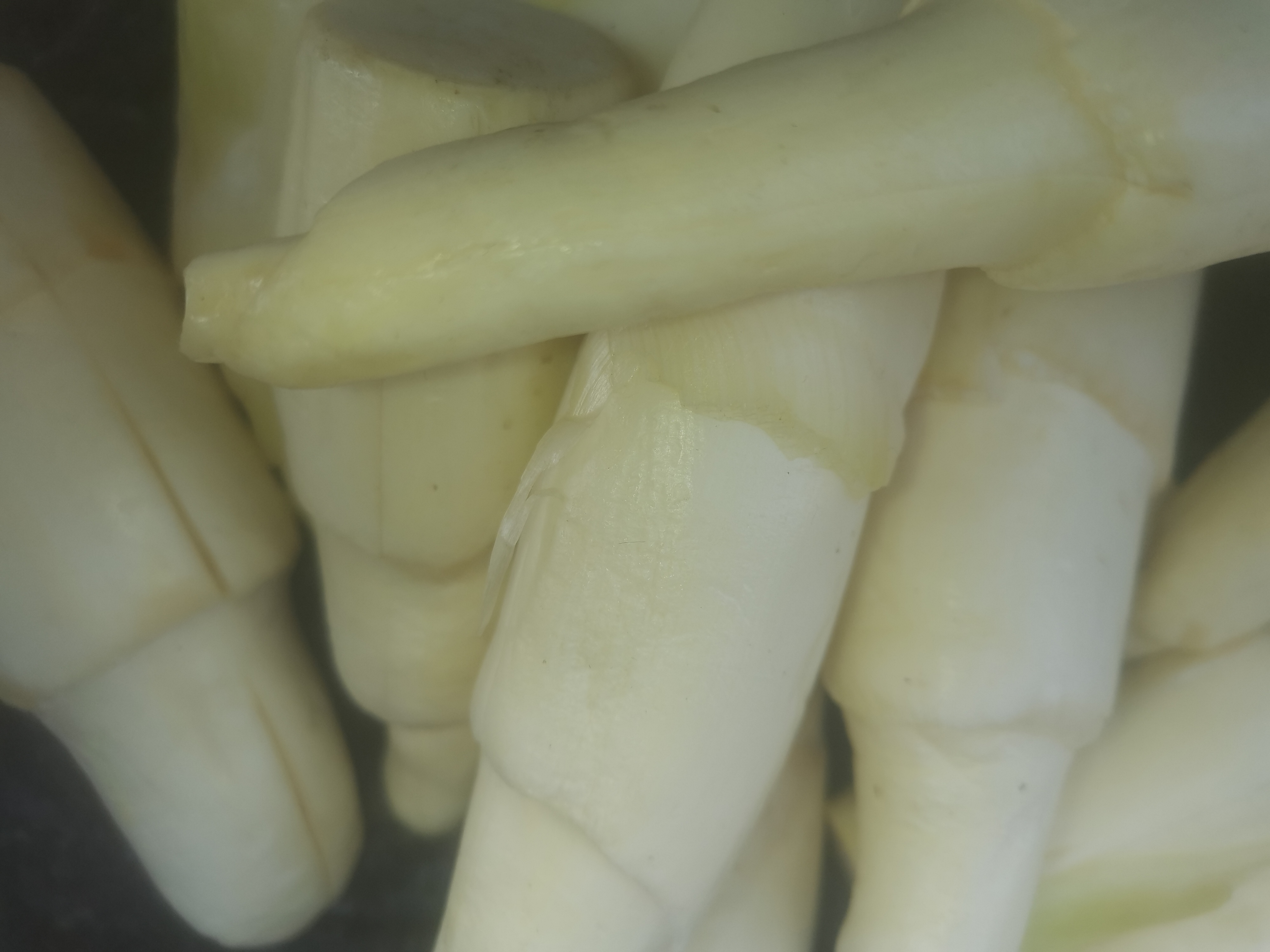 长在水边的笋子（高笋）