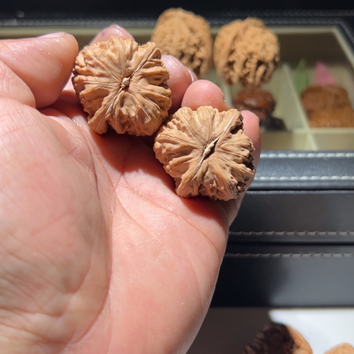 【闪购商品】文玩核桃把件西****北