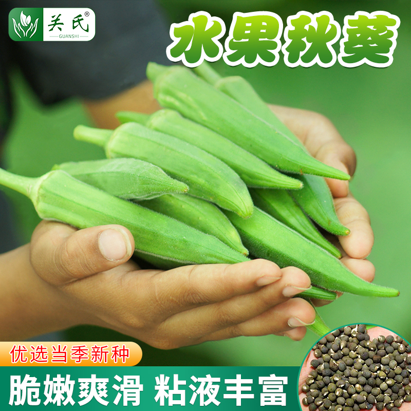 水果秋葵种子 黄秋葵绿秋葵菜种脆嫩不易老农家小院菜园特色蔬菜
