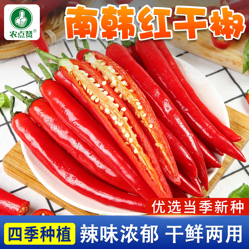 南韩红干椒辣椒种子蔬菜种子品种青椒红干椒种籽阳台庭院种植种菜