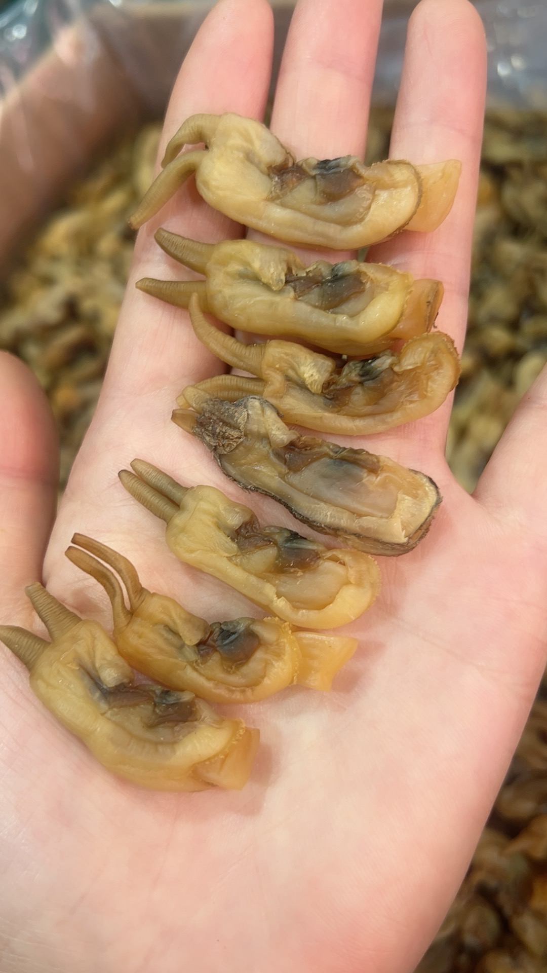 霞浦蛏干250克/包