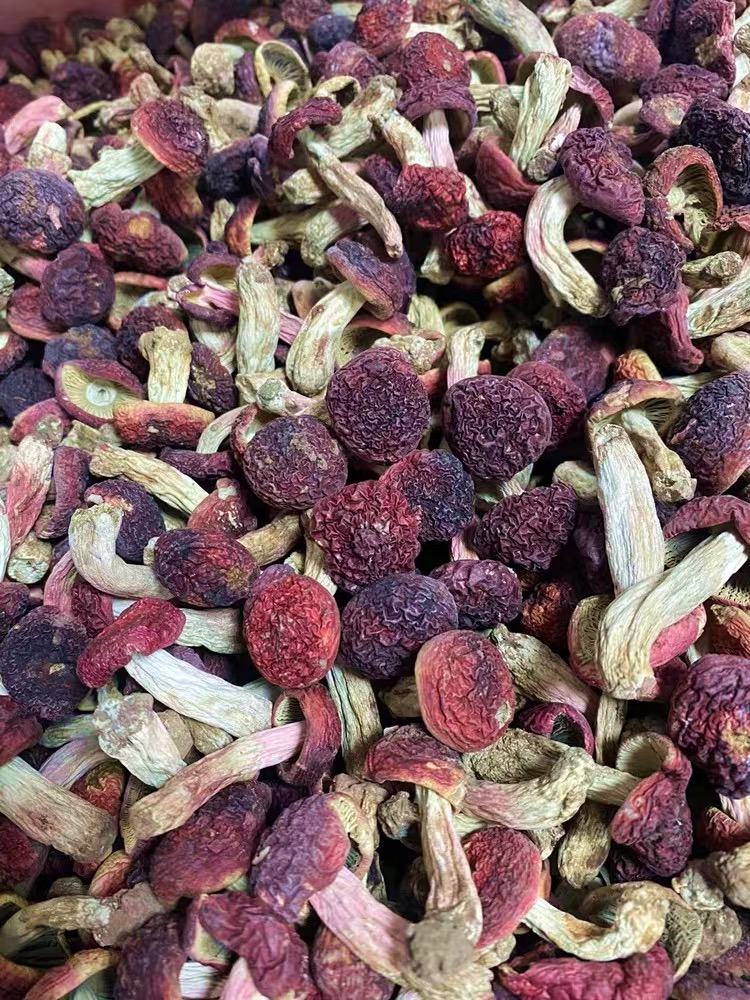 野生红菇红菇小菇丁菇丁哥250g500g