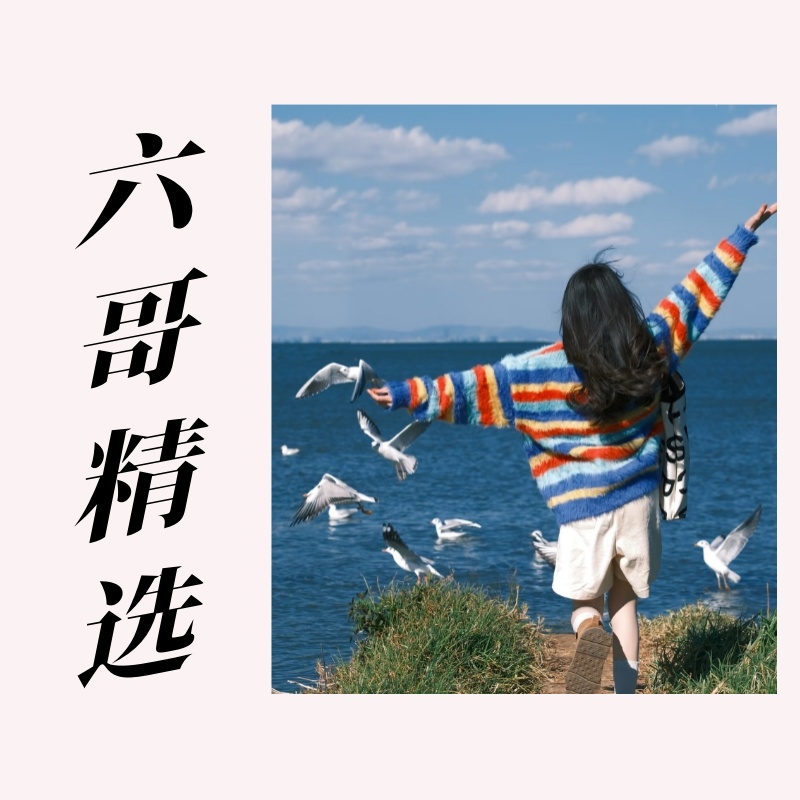 【01-20】编号➡️链接S -衣服