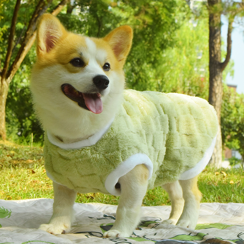 柯基柴犬泰迪腊肠狗狗衣服秋冬防掉毛马甲中型犬防脏保暖加绒背心