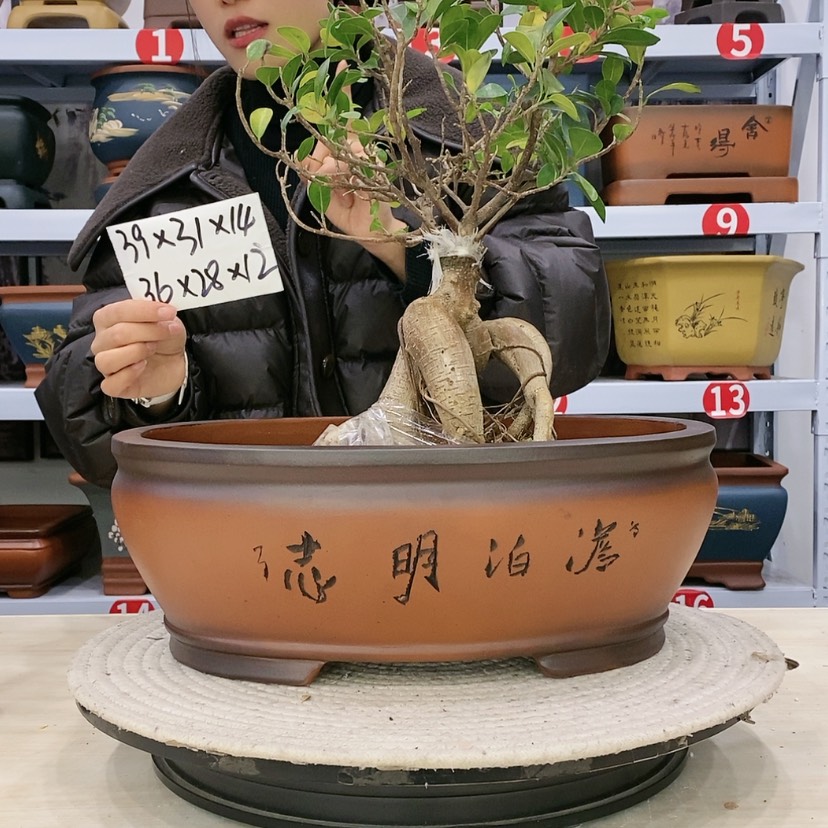 【闪购商品】紫砂花盆